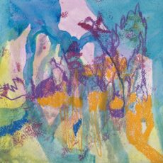 Kuuletko kätkeytyneet linnut (VARATTU)