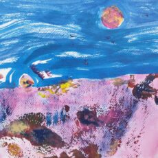 Tällaista kuutamoa en ole ennen kokenut