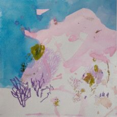 Pensaat ja pienet puut